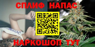 крисы Бузулук